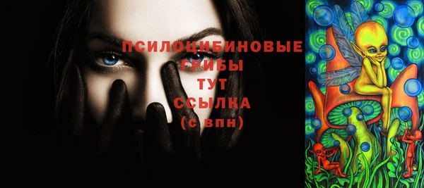 спиды Богородицк