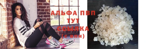 спиды Богородицк