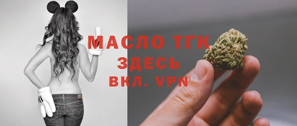 прущий лед Богданович