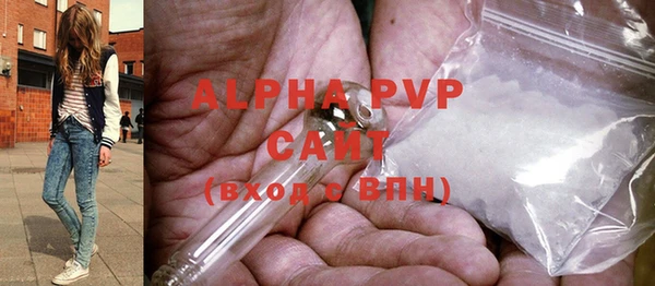 спиды Богородицк