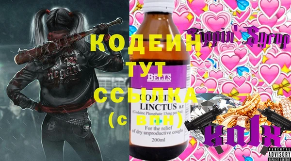 спиды Богородицк