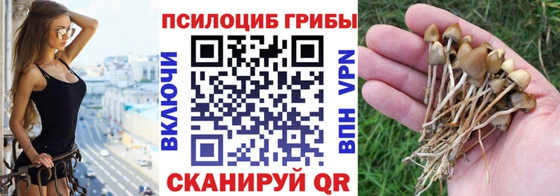 Галлюциногенные грибы ЛСД  Ворсма 